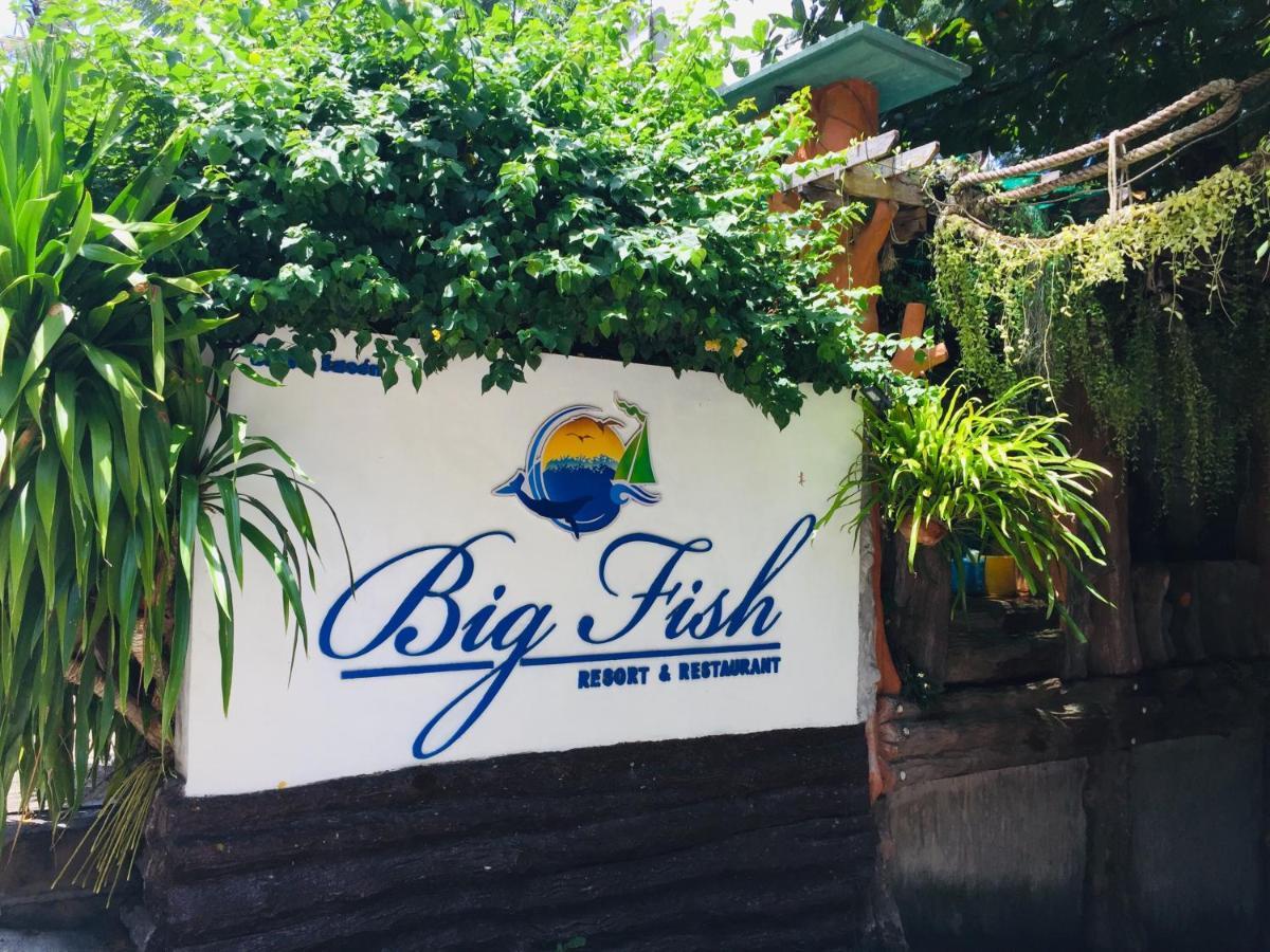 Big Fish Resort קו טאו מראה חיצוני תמונה